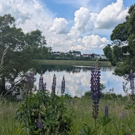 Holiday home Kleine Auszeit Am Twistesee *